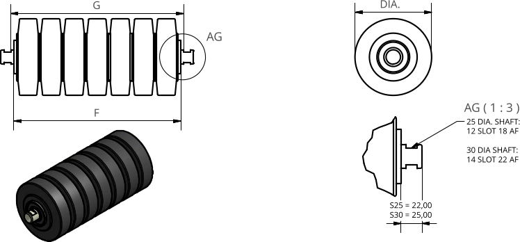 AG ( 1 : 3 ) AG F G DIA. 25 DIA. SHAFT: 12 SLOT 18 AF 30 DIA SHAFT: 14 SLOT 22 AF S25 = 22,00 S30 = 25,00